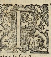 An illustration from Della Libraria vaticana ragionamenti (1590)