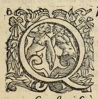 An illustration from Della Libraria vaticana ragionamenti (1590)