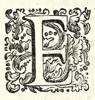 Picture 32 of 33 from Della natura de' fiumi : trattato fisico-matematico (1697), leaf 390