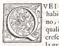 An illustration from Della nobile & antica famiglia de' Capizucchi, baroni romani : diramata da vn medesimo stipite con quella de' conti di Tun, prosapia grande e famosa della Germania (1668)