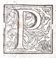An illustration from Della nobile & antica famiglia de' Capizucchi, baroni romani : diramata da vn medesimo stipite con quella de' conti di Tun, prosapia grande e famosa della Germania (1668)