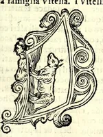 Picture 32 of 62 from Della nobilta dell'Italia parte prima[-seconda] (1615), leaf 321