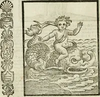 Picture 24 of 333 from Della nouissima Iconologia di Cesare Ripa Perugino Caualier de SS. Mauritio & Lazzaro : parte prima [-terza] : nella quale si descriuono diuerse imagini di virtu, vitij, affetti, passioni humane, arti, discipline, humori, elementi, corpi celesti, prouincie d'Italia, fiumi tutte parte del mondo, & altre infinite materie : opera utile ad oratori, predicatori, poeti, pittori, scultori, disegnatori, & ad'ogni studioso : per inuentar concetti, emblemi, ed'imprese, per diuisare qual si voglia apparato nutiale, funerale, trionsale : per rappresentar poemi drammatici, e per figurare co' suoi proprij simboli ciò che può cadere in pensiero humano : ampliata in quest' ultima editione non solo dallostesso auttore di trecento e cinquantadue imagini con molti discorsi pieni di varia eruditione & con molti indici copiosi (1625), leaf 103