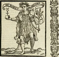 Picture 90 of 333 from Della nouissima Iconologia di Cesare Ripa Perugino Caualier de SS. Mauritio & Lazzaro : parte prima [-terza] : nella quale si descriuono diuerse imagini di virtu, vitij, affetti, passioni humane, arti, discipline, humori, elementi, corpi celesti, prouincie d'Italia, fiumi tutte parte del mondo, & altre infinite materie : opera utile ad oratori, predicatori, poeti, pittori, scultori, disegnatori, & ad'ogni studioso : per inuentar concetti, emblemi, ed'imprese, per diuisare qual si voglia apparato nutiale, funerale, trionsale : per rappresentar poemi drammatici, e per figurare co' suoi proprij simboli ciò che può cadere in pensiero humano : ampliata in quest' ultima editione non solo dallostesso auttore di trecento e cinquantadue imagini con molti discorsi pieni di varia eruditione & con molti indici copiosi (1625), leaf 216