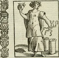 Picture 91 of 333 from Della nouissima Iconologia di Cesare Ripa Perugino Caualier de SS. Mauritio & Lazzaro : parte prima [-terza] : nella quale si descriuono diuerse imagini di virtu, vitij, affetti, passioni humane, arti, discipline, humori, elementi, corpi celesti, prouincie d'Italia, fiumi tutte parte del mondo, & altre infinite materie : opera utile ad oratori, predicatori, poeti, pittori, scultori, disegnatori, & ad'ogni studioso : per inuentar concetti, emblemi, ed'imprese, per diuisare qual si voglia apparato nutiale, funerale, trionsale : per rappresentar poemi drammatici, e per figurare co' suoi proprij simboli ciò che può cadere in pensiero humano : ampliata in quest' ultima editione non solo dallostesso auttore di trecento e cinquantadue imagini con molti discorsi pieni di varia eruditione & con molti indici copiosi (1625), leaf 225
