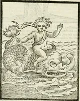 An illustration from Della novissima iconologia (1624)