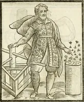Picture 32 of 354 from Della novissima iconologia (1624), leaf 116