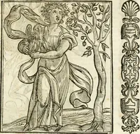 An illustration from Della novissima iconologia (1624)