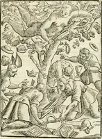 An illustration from Della novissima iconologia (1624)