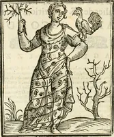 Picture 142 of 354 from Della novissima iconologia (1624), leaf 335
