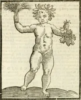 Picture 145 of 354 from Della novissima iconologia (1624), leaf 339