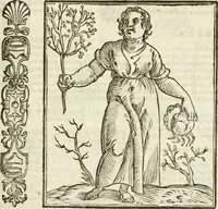 An illustration from Della novissima iconologia (1624)