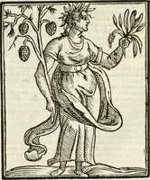An illustration from Della novissima iconologia (1624)