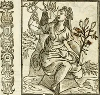 An illustration from Della novissima iconologia (1624)