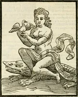 Picture 215 of 354 from Della novissima iconologia (1624), leaf 471