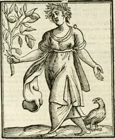 An illustration from Della novissima iconologia (1624)