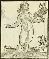 Picture 236 of 354 from Della novissima iconologia (1624), leaf 524
