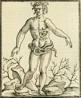 An illustration from Della novissima iconologia (1624)
