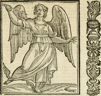 Picture 334 of 354 from Della novissima iconologia (1624), leaf 758