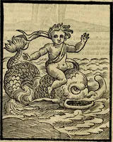 An illustration from Della novissima iconologia (1625)