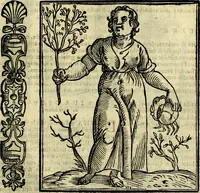 An illustration from Della novissima iconologia (1625)