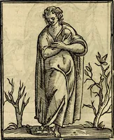 An illustration from Della novissima iconologia (1625)