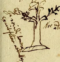 An illustration from Della novissima iconologia (1625)