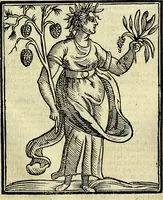 An illustration from Della novissima iconologia (1625)