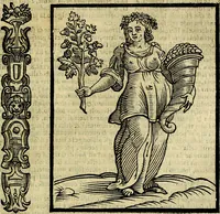 An illustration from Della novissima iconologia (1625)