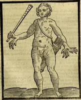 An illustration from Della novissima iconologia (1625)