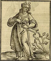 An illustration from Della novissima iconologia (1625)