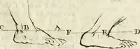 An illustration from Trattato della pittura di Lionardo da Vinci : ridotta alla sua vera lezione sopra una copia a penna di mano (1792)