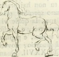 An illustration from Trattato della pittura di Lionardo da Vinci : ridotta alla sua vera lezione sopra una copia a penna di mano (1792)