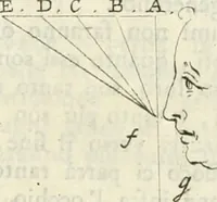 An illustration from Trattato della pittura di Lionardo da Vinci : ridotta alla sua vera lezione sopra una copia a penna di mano (1792)