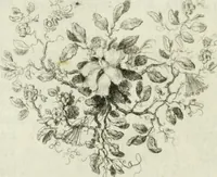 An illustration from Della pittura veneziana e delle opere pubbliche de' veneziani maestri libri V (1771)