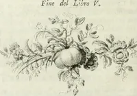 Picture 13 of 14 from Della pittura veneziana e delle opere pubbliche de' veneziani maestri libri V (1771), leaf 505