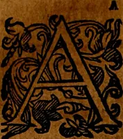 Picture 17 of 375 from Della piu che novissima iconologia (1630), leaf 105