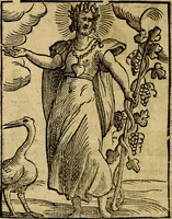 Picture 24 of 375 from Della piu che novissima iconologia (1630), leaf 127