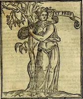 Picture 30 of 375 from Della piu che novissima iconologia (1630), leaf 136