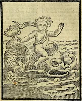 Picture 37 of 375 from Della piu che novissima iconologia (1630), leaf 152