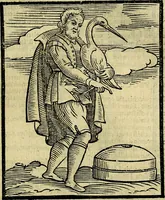 Picture 71 of 375 from Della piu che novissima iconologia (1630), leaf 218