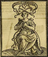 Picture 141 of 375 from Della piu che novissima iconologia (1630), leaf 348