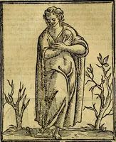 Picture 172 of 375 from Della piu che novissima iconologia (1630), leaf 420