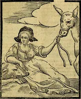 Picture 180 of 375 from Della piu che novissima iconologia (1630), leaf 432