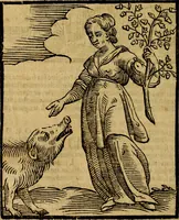 Picture 184 of 375 from Della piu che novissima iconologia (1630), leaf 439