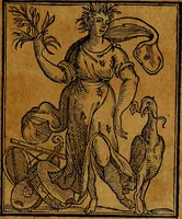 Picture 206 of 375 from Della piu che novissima iconologia (1630), leaf 490