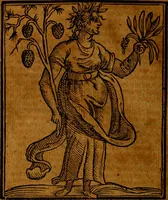 Picture 209 of 375 from Della piu che novissima iconologia (1630), leaf 495
