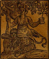 Picture 211 of 375 from Della piu che novissima iconologia (1630), leaf 499