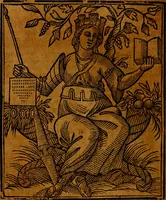 Picture 212 of 375 from Della piu che novissima iconologia (1630), leaf 501