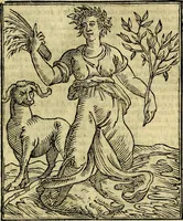 Picture 214 of 375 from Della piu che novissima iconologia (1630), leaf 524